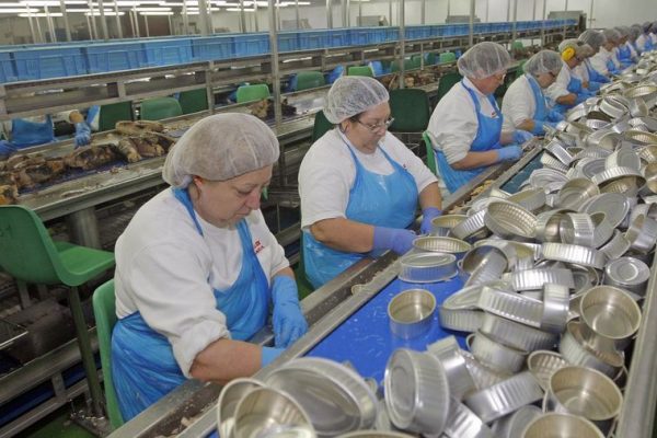 Línea de envasado de conservas en la planta de Jealsa